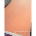 Beech melamine EV Plywood personalizada